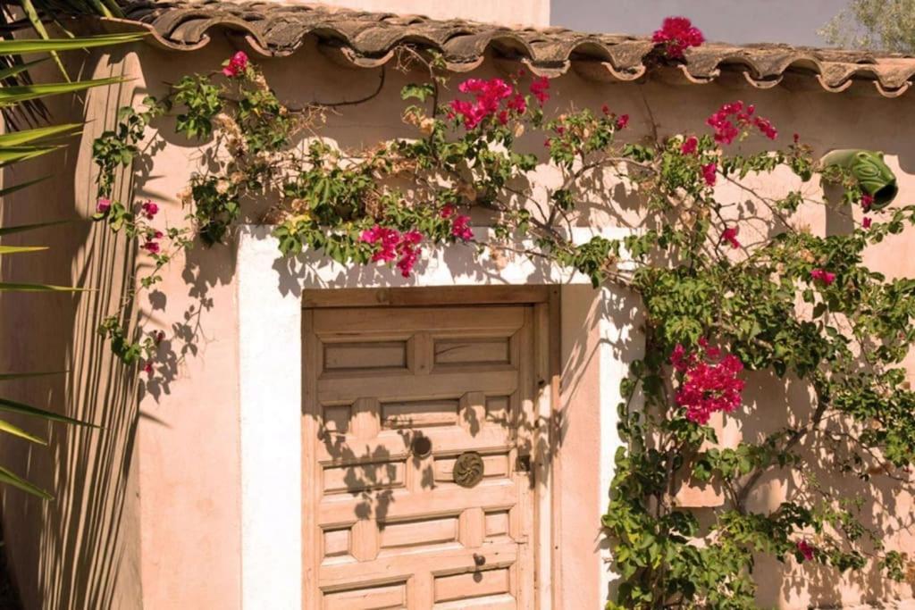 Sitges Hill Retreats-Masia Nur 22 Bedrooms Divided Over 9 Houses For Max 44 Guests Canyelles  Extérieur photo